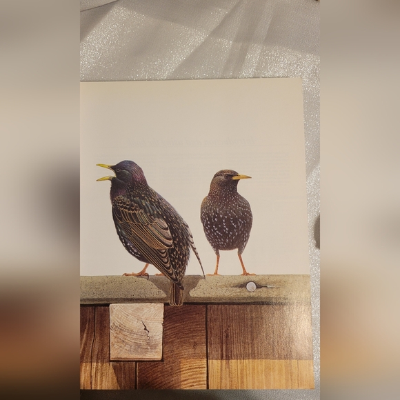 1992 Softback book The Complete Book of British Birds - Picture 7 of 11